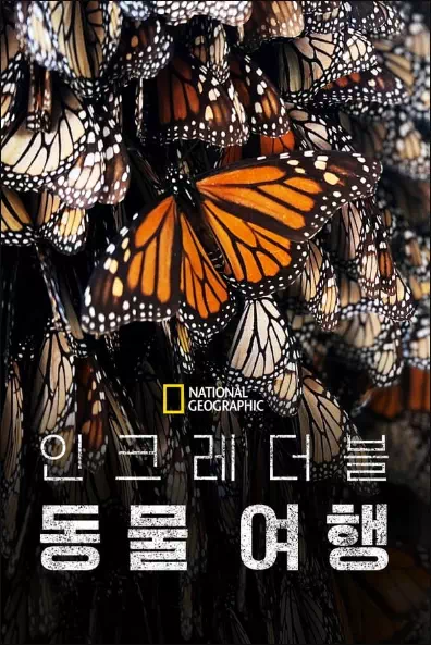 인크레더블 동물 여행