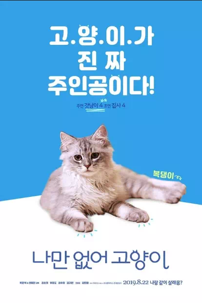 나만 없어 고양이