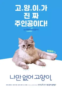 나만 없어 고양이