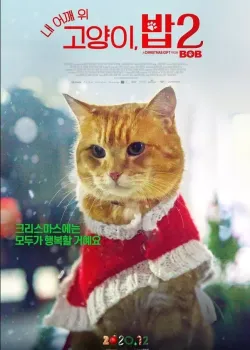 내 어깨 위 고양이 밥2